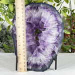 Amethyst Gemstone Geode - RGD935