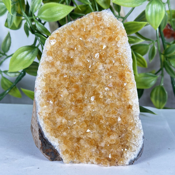 Citrine Gemstone Geode - RGD937