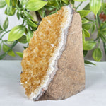 Citrine Gemstone Geode - RGD937