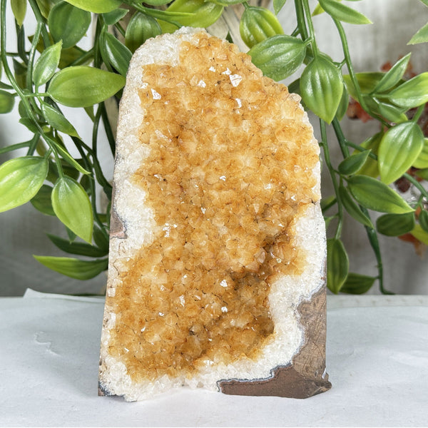Citrine Crystal Geode - Gem Avenue Retail