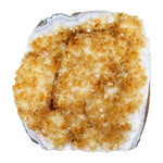 Citrine Gemstone Geode - RGD940