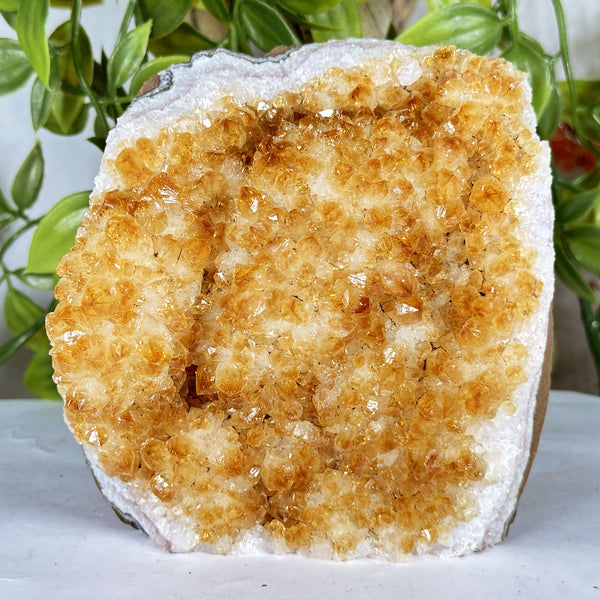 Citrine Crystal Geode - Gem Avenue Retail