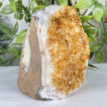 Citrine Gemstone Geode - RGD940