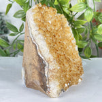 Citrine Gemstone Geode - RGD941