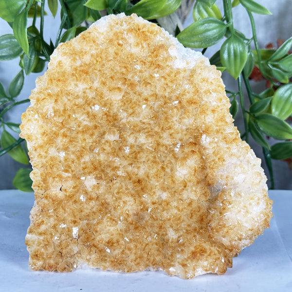Citrine Crystal Geode - Gem Avenue Retail