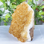 Citrine Gemstone Geode - RGD942