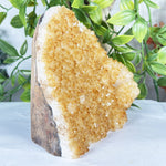 Citrine Gemstone Geode - RGD942