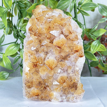 Citrine Crystal Geode - Gem Avenue Retail