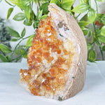 Citrine Gemstone Geode - RGD944