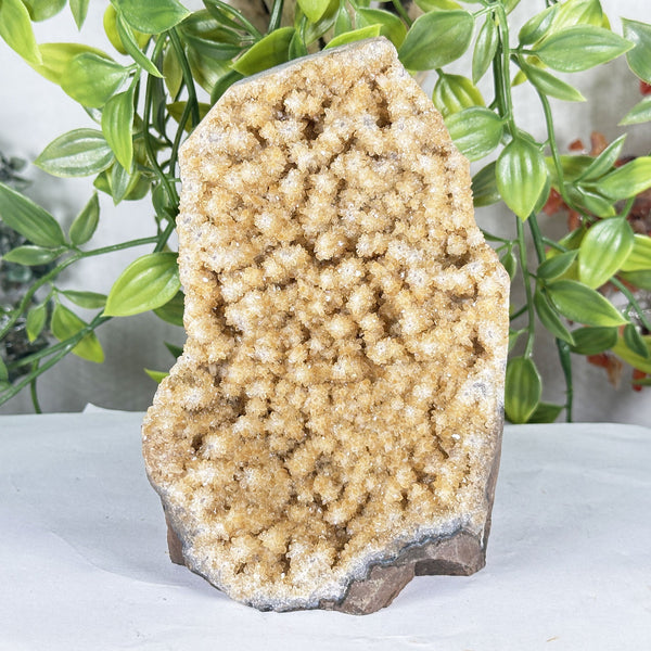 Citrine Gemstone Geode - RGD945
