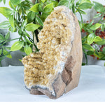 Citrine Gemstone Geode - RGD945