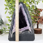 Amethyst Gemstone Geode - RGD946