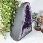 Amethyst Cathedral Geode Deep Purple Crystal Cave Brazil 13