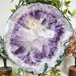 Amethyst Gemstone Geode - RGD954