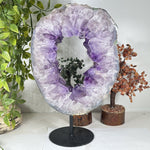 Amethyst Gemstone Geode - RGD955