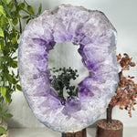Amethyst Gemstone Geode - RGD955