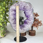 Amethyst Gemstone Geode - RGD955