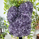 Amethyst Gemstone Geode - RGD957