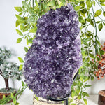Amethyst Gemstone Geode - RGD957