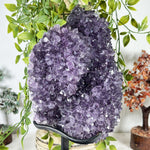 Amethyst Gemstone Geode - RGD957