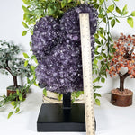 Amethyst Gemstone Geode - RGD957