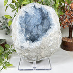 Celestite Geode Blue Crystal Cluster Madagascar 6