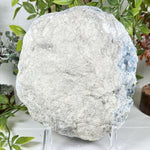 Celestite Geode Blue Crystal Cluster Madagascar 6