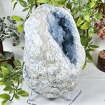 Celestite Geode Blue Crystal Cluster Madagascar 6