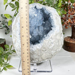 Celestite Geode Blue Crystal Cluster Madagascar 6