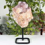 Pink Amethyst Gemstone Geode  - RGD970