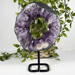 Amethyst Gemstone Geode - RGD974