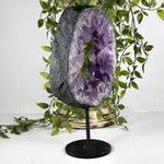 Amethyst Gemstone Geode - RGD975