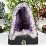 Amethyst Gemstone Geode - RGD977