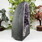 Amethyst Gemstone Geode - RGD982