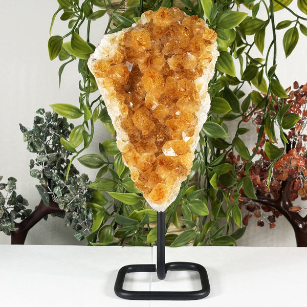 Natural Citrine Crystal Geode - Gem Avenue Retail