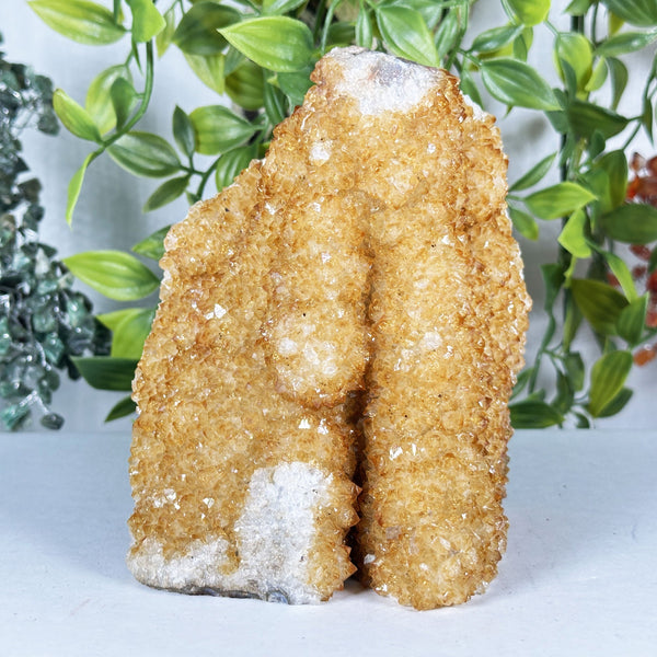 Citrine Crystal Geode - Gem Avenue Retail