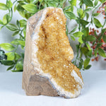 Citrine Gemstone Geode - RGD985