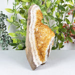 Citrine Gemstone Geode - RGD986