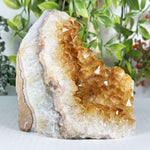 Citrine Gemstone Geode - RGD987