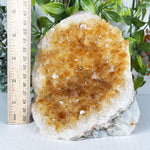 Citrine Gemstone Geode - RGD987