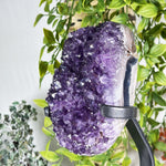 Amethyst Gemstone Geode - RGD988