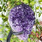 Amethyst Gemstone Geode - RGD988