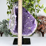 Amethyst Gemstone Geode - RGD989