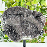 Black Amethyst Gemstone Geode - RGD990