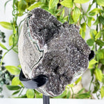 Black Amethyst Gemstone Geode - RGD990