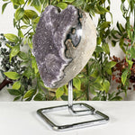 Amethyst Gemstone Geode - RGD992