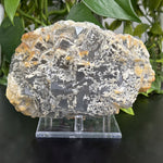 Fluorite Mineral Specimens – Natural Crystal Clusters for Collectors, Resellers, and Gift Shops