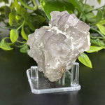 Fluorite Crystal Mineral Specimens – Natural Raw Healing Stones for Resale or Collectors