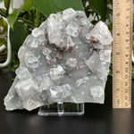 Natural Apophyllite, Chalcedony & Stilbite Crystal Cluster Mineral Specimens