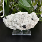 Natural Black Tourmaline Crystal Clusters – Raw Mineral Specimens
